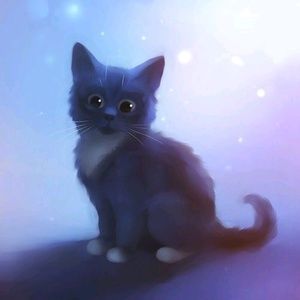 Meet your Posher, Margo